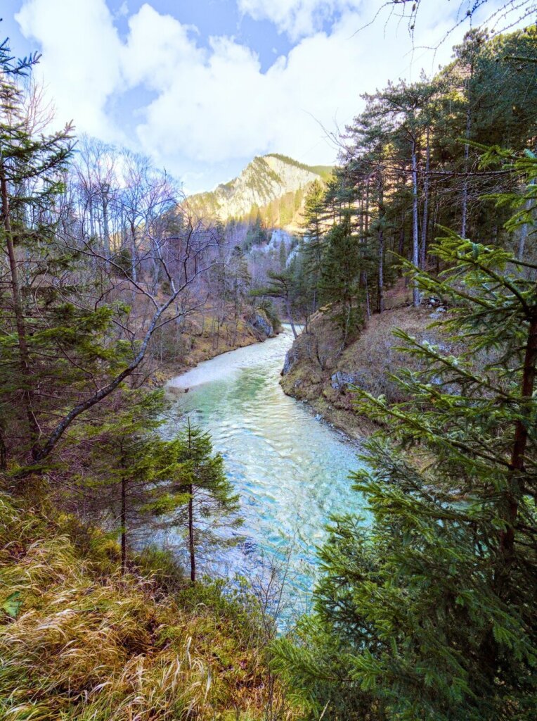 alpine riverscape in a snowless winter