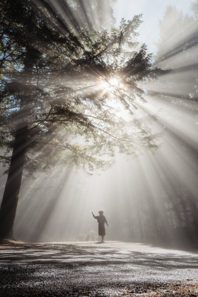 A photo of a woman is standing in a hat, but she is obscured by bright sunlight. Trees are visible in the background.