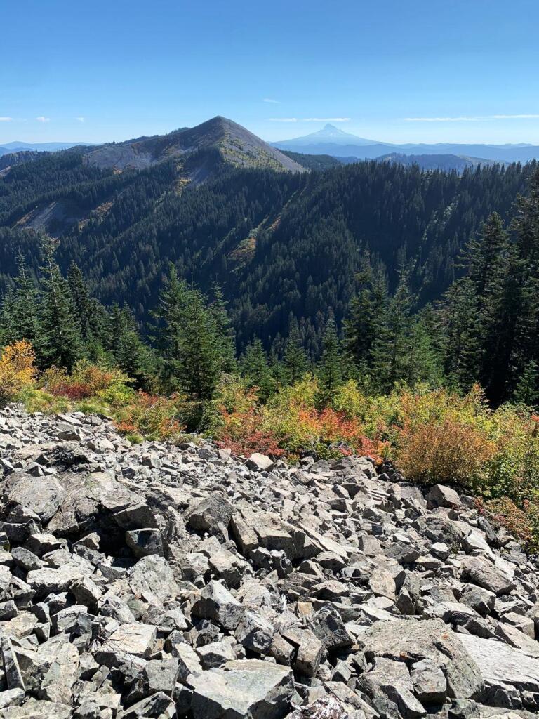 Bluff Mountain, with Mt. Hood way in the distance. Bluff is kind of a bare mound of talus. Foreground is another talus field along the Starway trail with red and green colored brush, and between that and Bluff is a valley with trees lining the adjacent slopes.