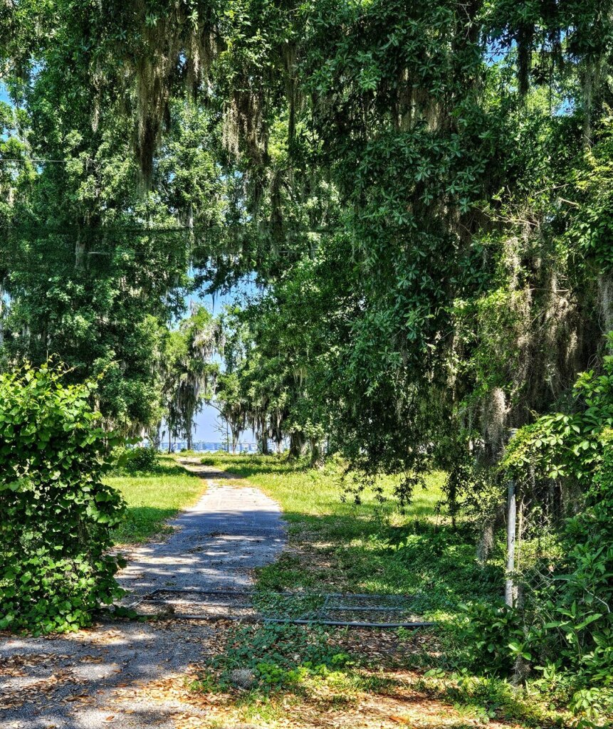 Near the shoreline of a big, blue river, a very old pathway leads across an overgrown field of green. Framed by and overhead canopy of big full trees.