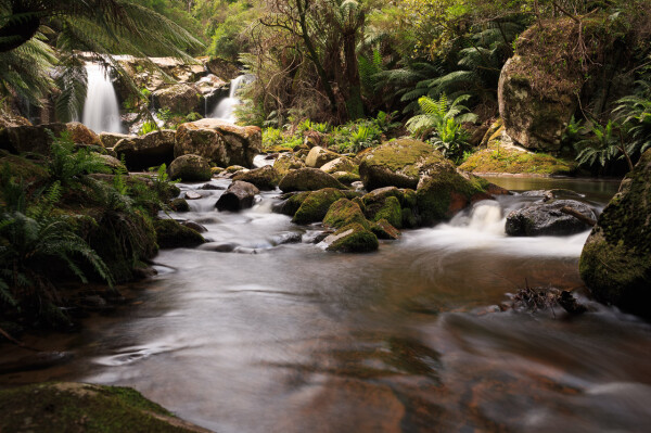 A longer shot, looking up towards the main falls. The shallow creek flows directly towards the camera. There are small cascades amongst granite boulders in the middle ground and the main falls are in the background. A tree fern pokes in on the upper left of the photo, while the far bank (right) is covered in moss, ferns and tree ferns. 