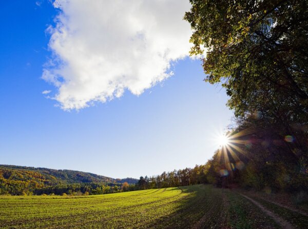 field in the countryside with sunstar and cloud in early november, ultrawide effect