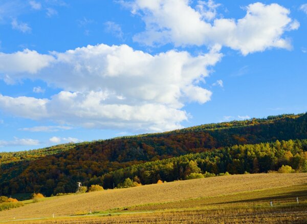 Autumnal landscape