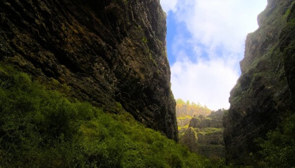 View of the barranco del infierno gorge on tenerife, canary islands