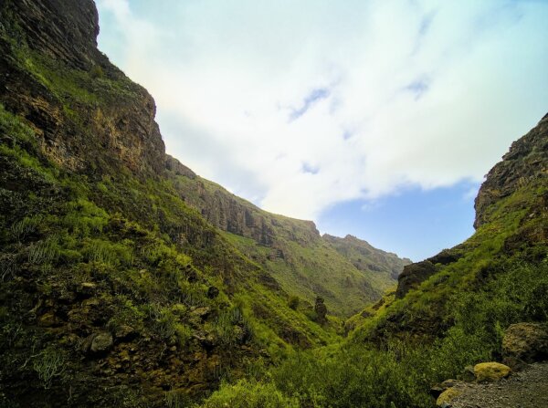 a green barranco on tenerife, canary islands