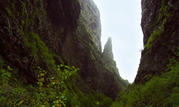 In the barranco del infierno gorge, tenerife, canary islands