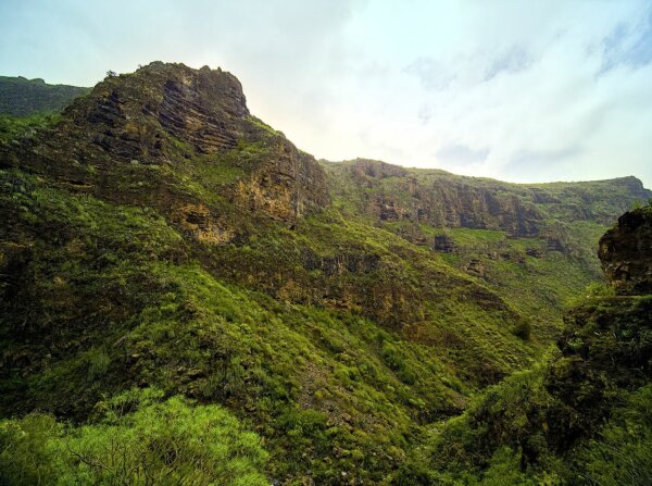 Inside the barranco del infierno gorge on tenerife