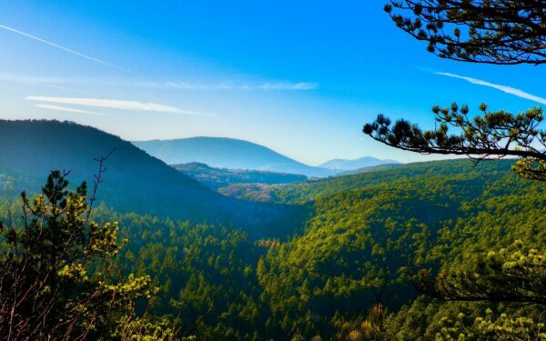 view from the teufelsmühlstein near wöllersdorf, lower austria