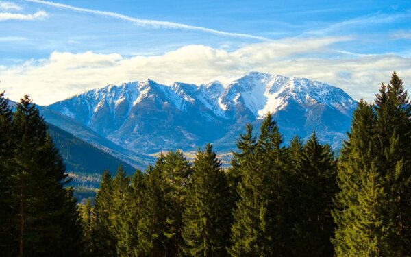 View of the top of the snowy schneeberg above trees, seen from grünbach