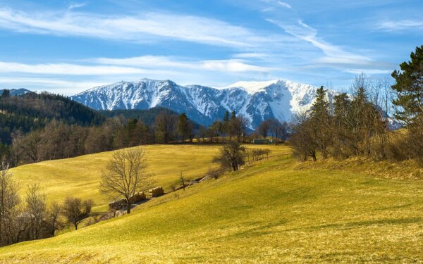 View of the schneeberg from grünbach am schneeberg, lower austria