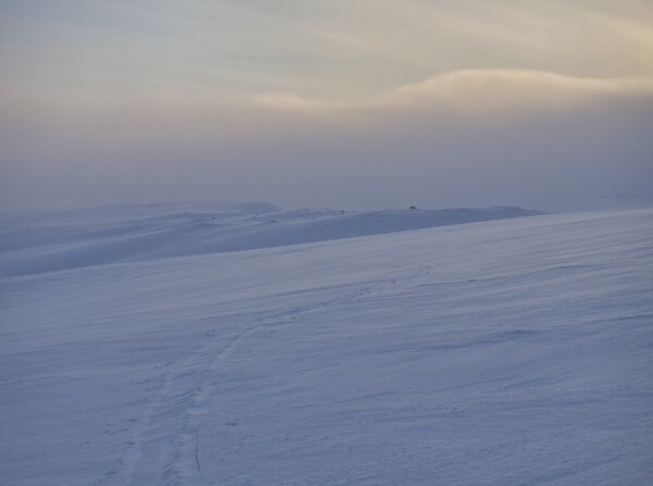 The trace of my sled/pulka/ahkio quickly covered by snow and wind in the tundra.