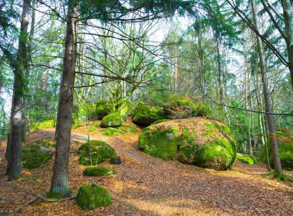 Naturpark mühlviertel with huge mossy round rocks in rechberg, upper austria