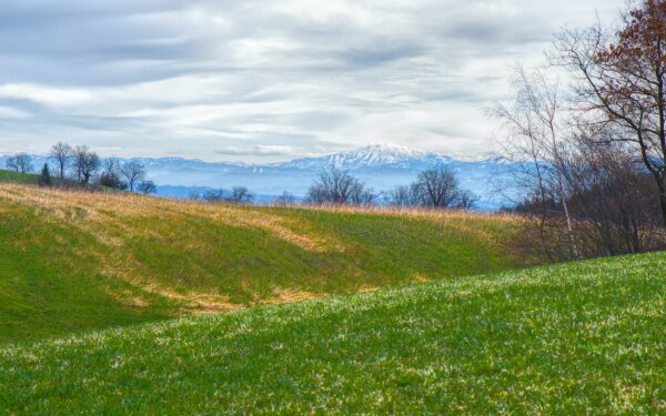 View of the ötscher from rechberg, upper austria