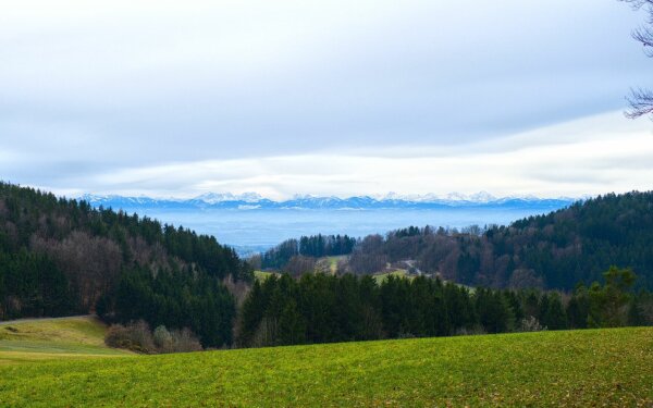 View of the mühlviertel and the snow capped alps from rechberg, upper austria