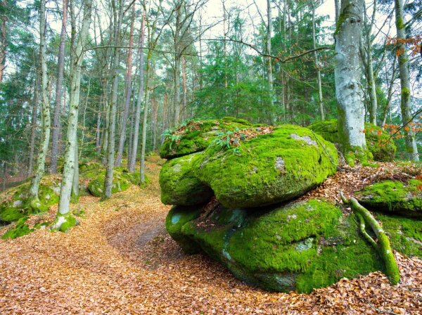 Mossy rock at the naturpark mühlviertel near rechberg, upper austria