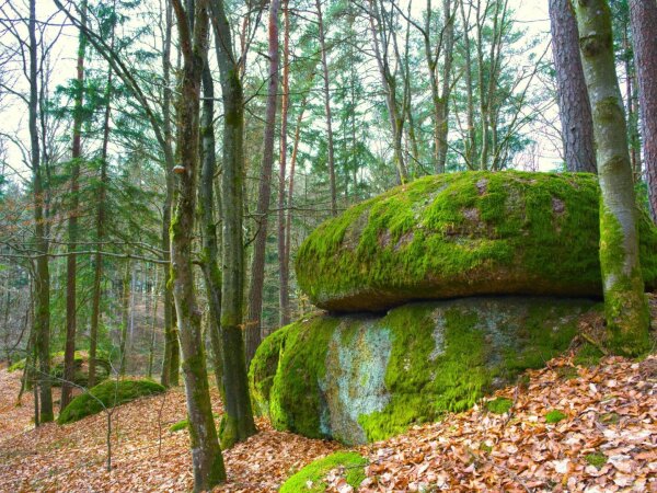 mossy rock at naturpark mühlviertel near rechberg, upper austria