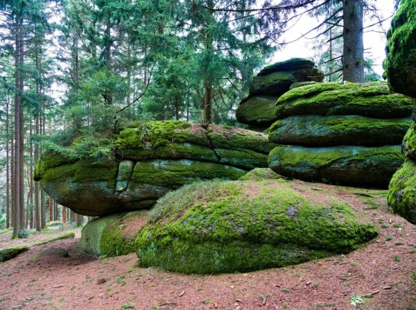 Mossy rocks in the naturpark mühlviertel near rechberg, upper austria