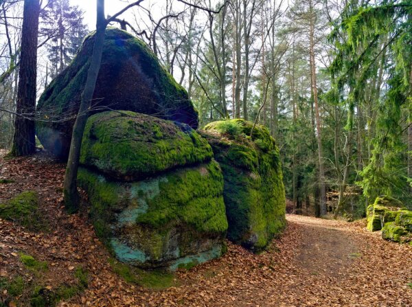 Mossy rocks in the naturpark mühlviertel near rechberg, upper austria