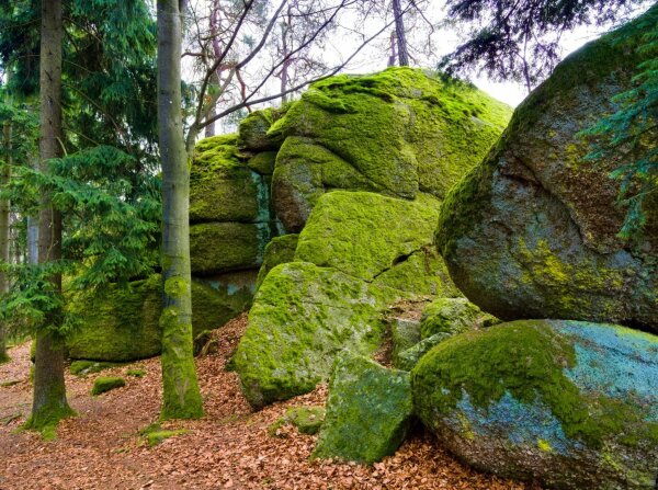 Mossy rocks in the naturpark mühlviertel near rechberg, upper austria