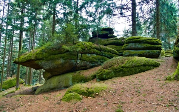 Mossy rocks in the naturpark mühlviertel near rechberg, upper austria