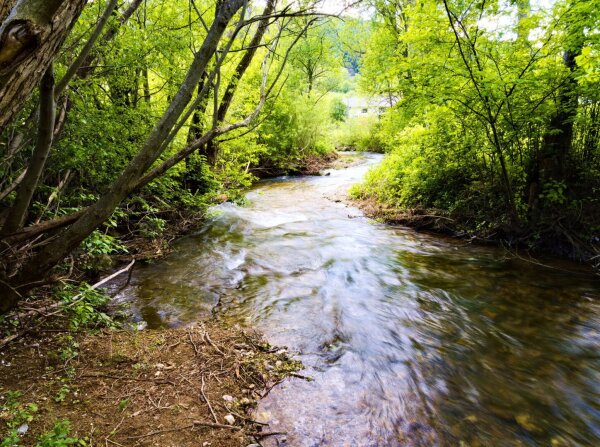 the creek sierning in puchberg am schneeberg, lower austria