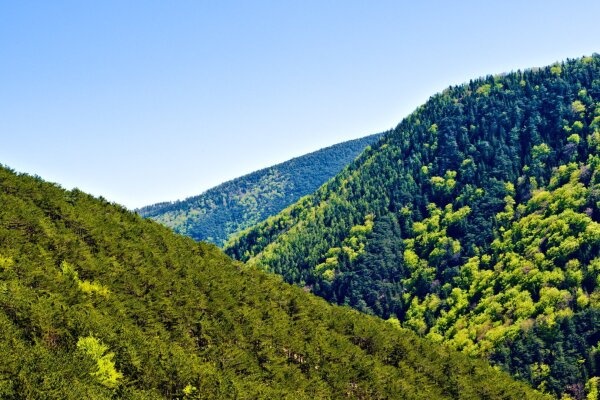 Green mountains near puchberg am schneeberg, lower austria