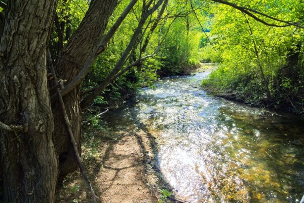 Creek in puchberg am schneeberg, lower austria