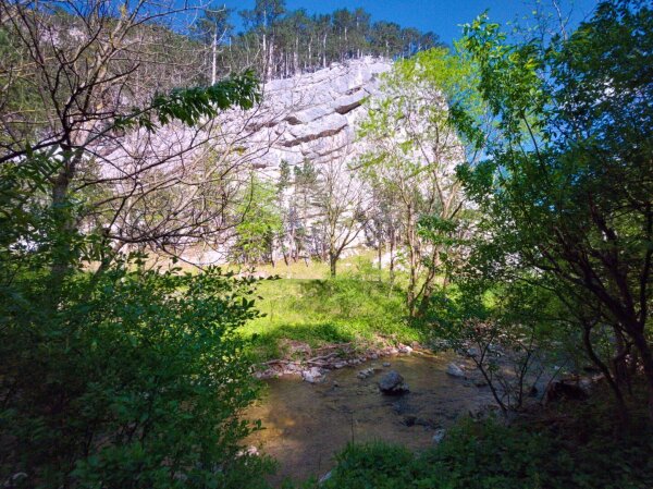 The rocky sierning valley near puchberg am schneeberg in spring, lower