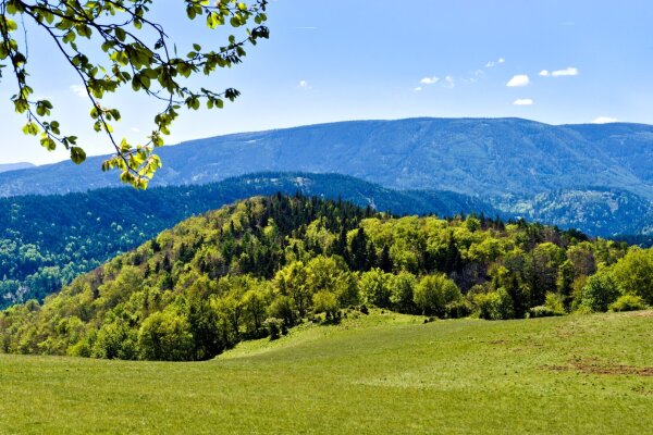 Alpine landscape near puchberg am schneeberg, lower austria