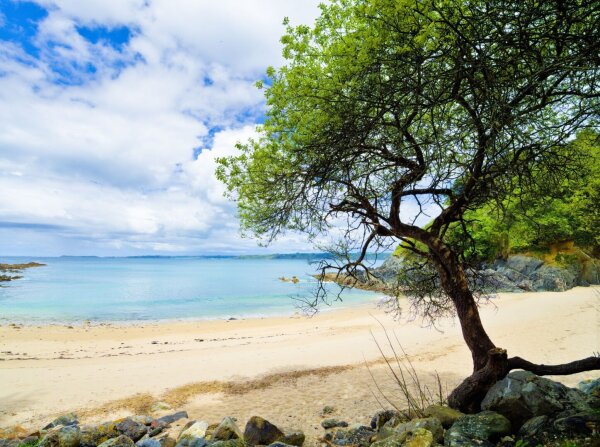 Beach on the presqu'ile de kercoz, bretagne