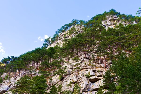 Rocky mountains in the sierning valley  near puchberg am schneeberg