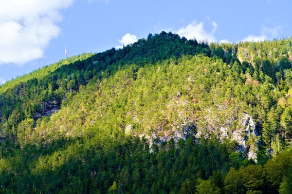 Green mountain near puchberg am schneeberg, lower austria