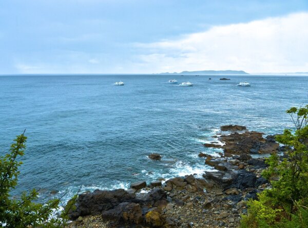 coast at ploumanac'h, bretagne