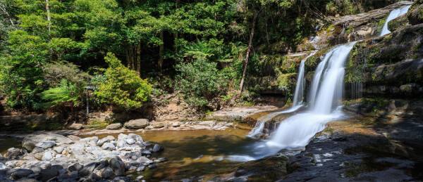 Liffey Falls from the far side, looking back towards the viewing platform. 
In this photo the falls are on the right of the frame, and there is a shallow pool below them and then a jumble of granite. Above the pool is the edge of the rainforest. The viewing platform legs can just be seen through the trees. 