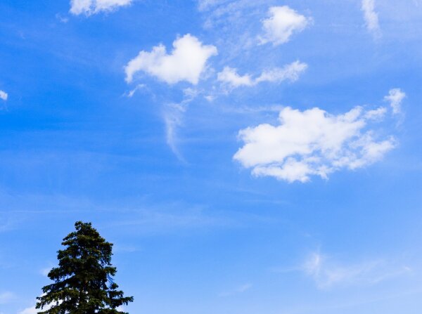 Sky fragment in steinhof, vienna