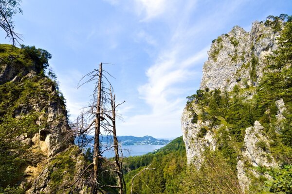 Kaltenbachwildnis canyon near the traunsee, austria