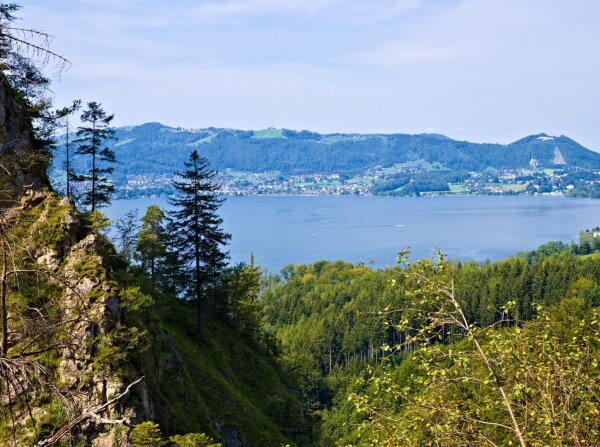 View of the traunsee from the viewpoint kaltenbachwildnis