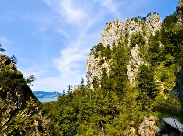 Kaltenbachwildnis gorge in upper austria