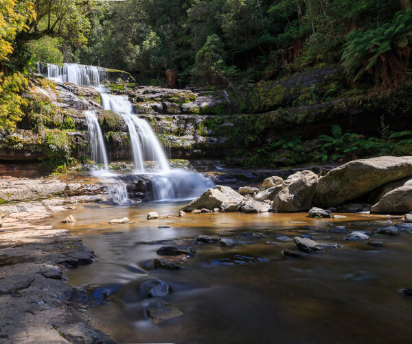 Liffey Falls from below the viewing platform. There's a top short fall, before it cascades down a concentrated middle tier, and then splits in to two longer bottom falls before a short cascade in to the pool below. 