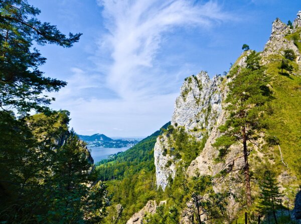 Kaltenbachwildnis gorge near the traunsee in upper austria