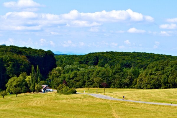 Wienerwald near Tulbinger Kogel