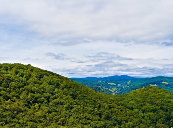 Wienerwald seen from the josefswarte