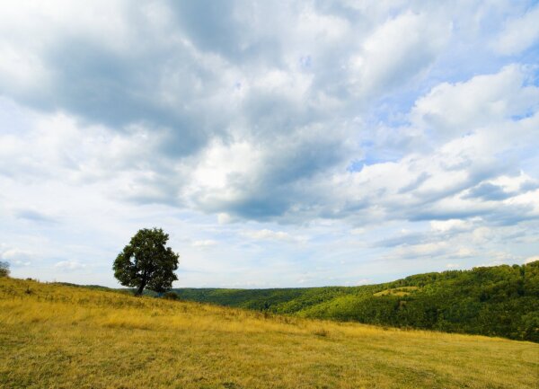 Landscape near köröspatak, alsóharomszék, transylvania