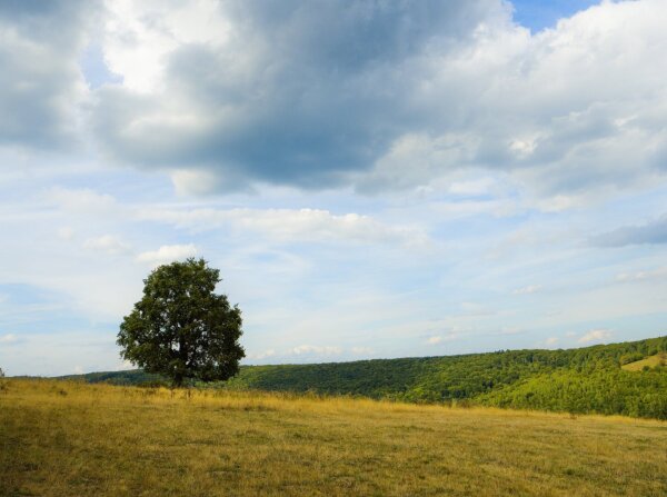 Landscape near köröspatak, szekely land, transylvania