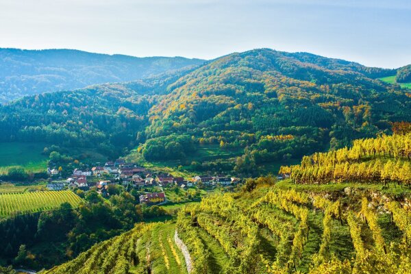 wachau landscape in october on the welterbesteig between spitz and mühldorf