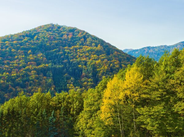 Autumn Landscape between spitz and mühldorf along the welterbesteig wachau hiking trail, lower austria