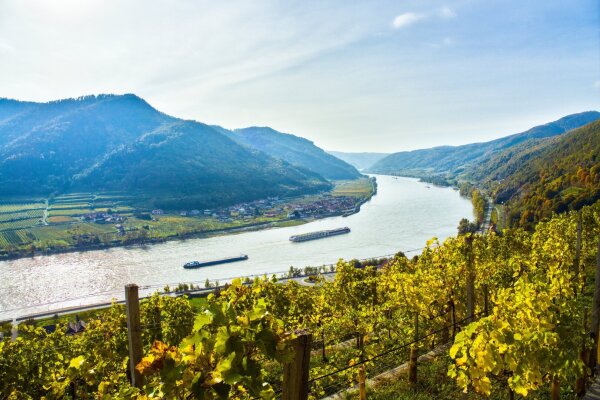 Danube bend near spitz an der donau in october, lower austria