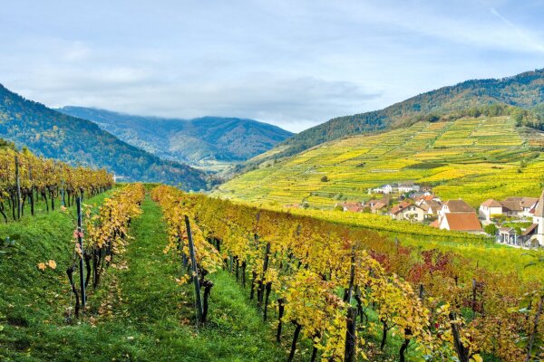 Landscape between spitz and mühldorf on the welterbesteig wachau, lower austria