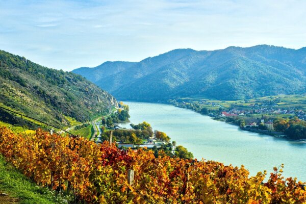 Danube bend near spitz an der donau, wachau, lower austria