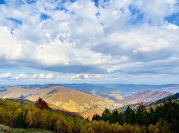 View from the naturparkhaus jauerling wachau, lower austria